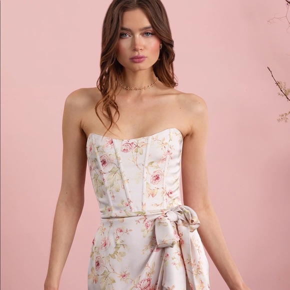 The June Dress in Pink Rose Print V Chapman - Picture 3 of 6